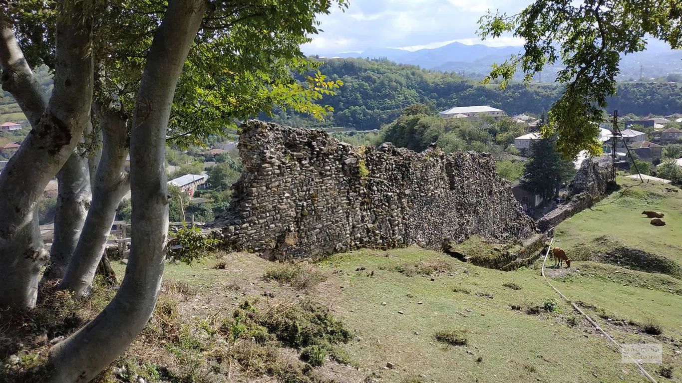 The territory of Shorapani fortress