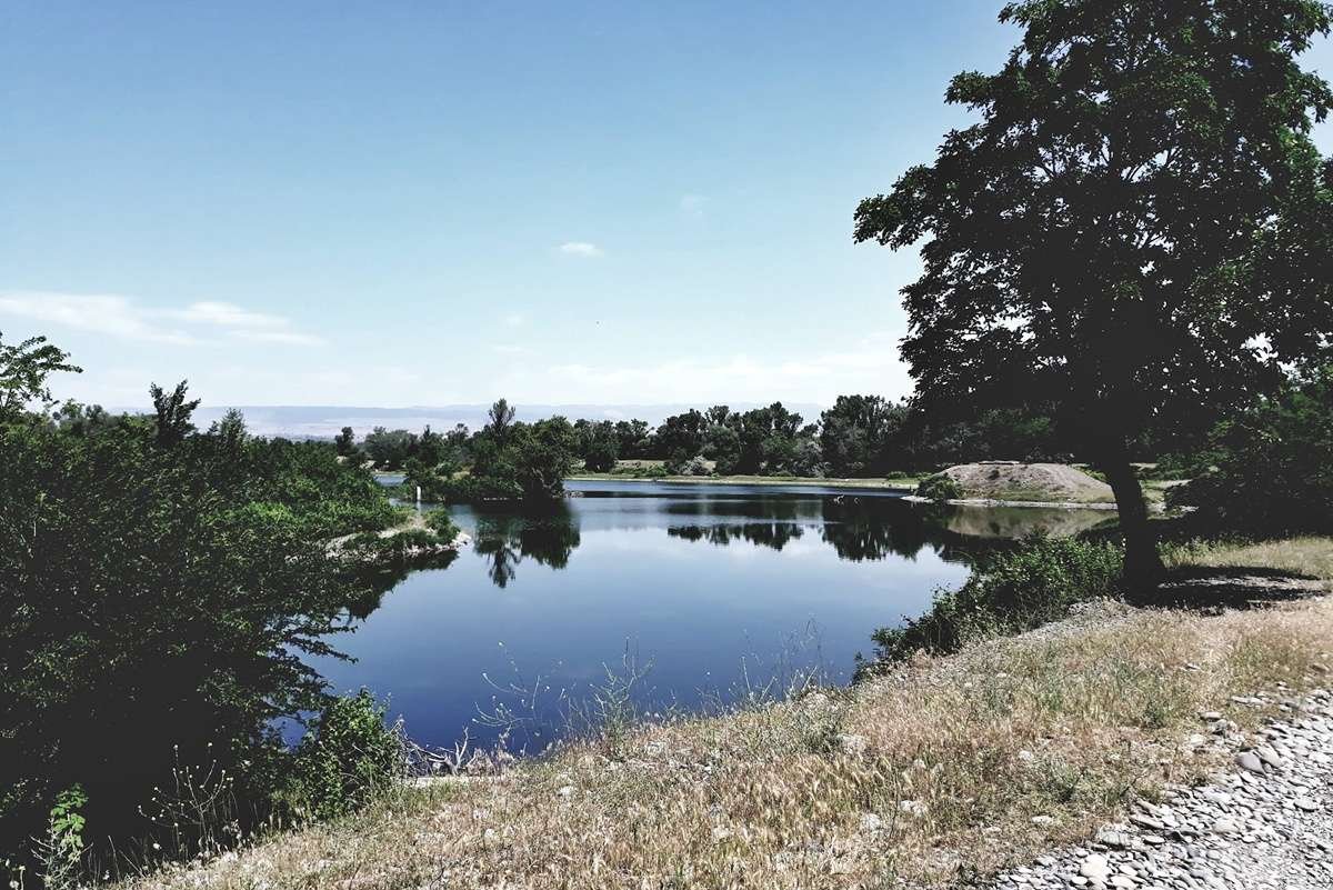Krtsanisi Park