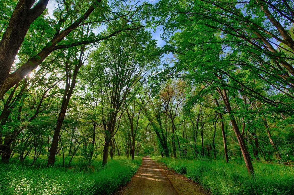 Krtsanisi Park