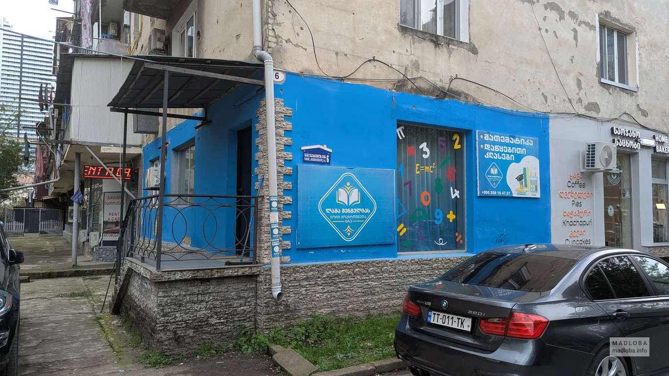 Круг юных мыслителей Лаши Шенгелии — занятия по математике и логике в Батуми