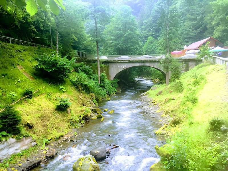 Sairme mountain river resort