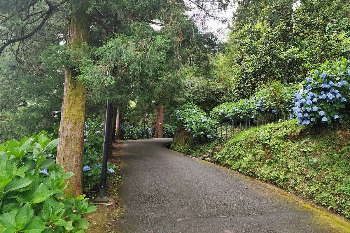 Kutaisi Botanical Garden