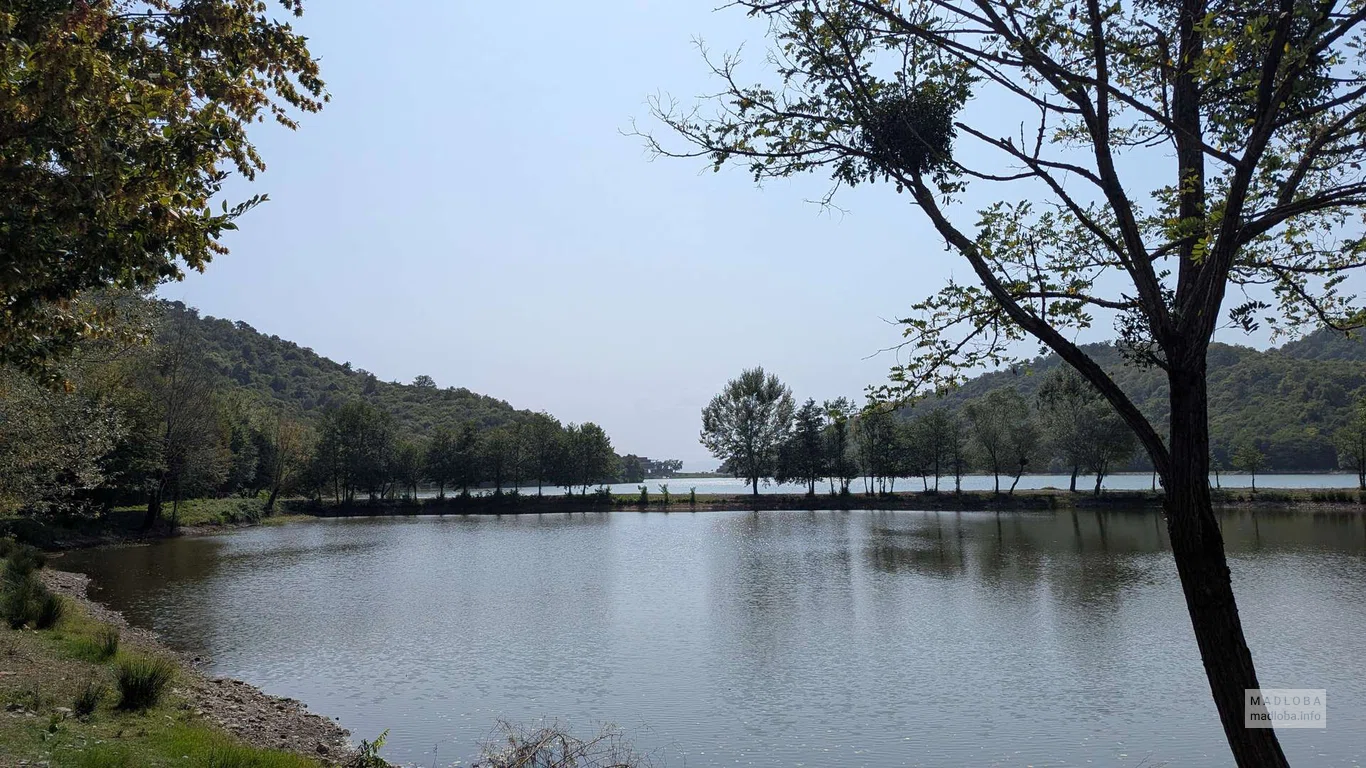 Вид на озеро в отеле Kvareli Lake Resort в Кварели