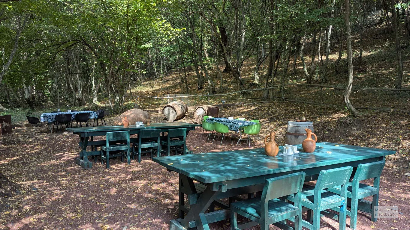 Столы для дегустаций вина в тени деревьев