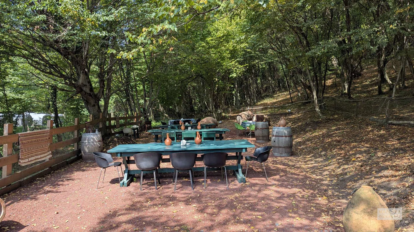 Столы для дегустаций вина в тени деревьев