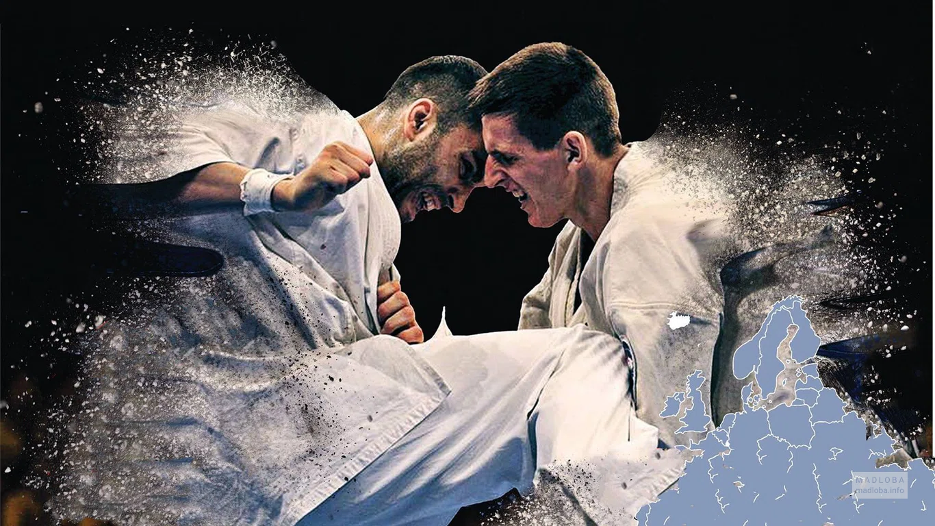 Вывеска в Georgian Kyokushin Karate National Union
