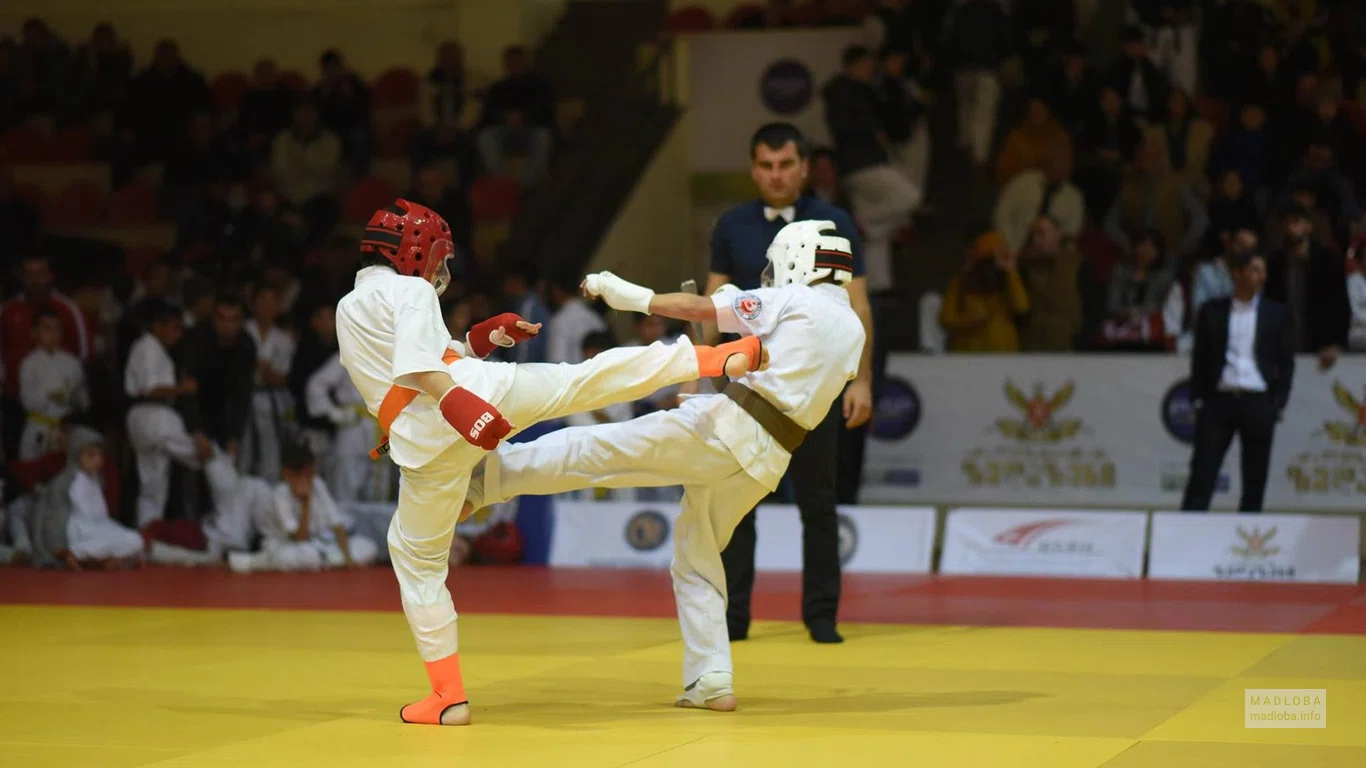 Турнир в Georgian Kyokushin Karate National Union