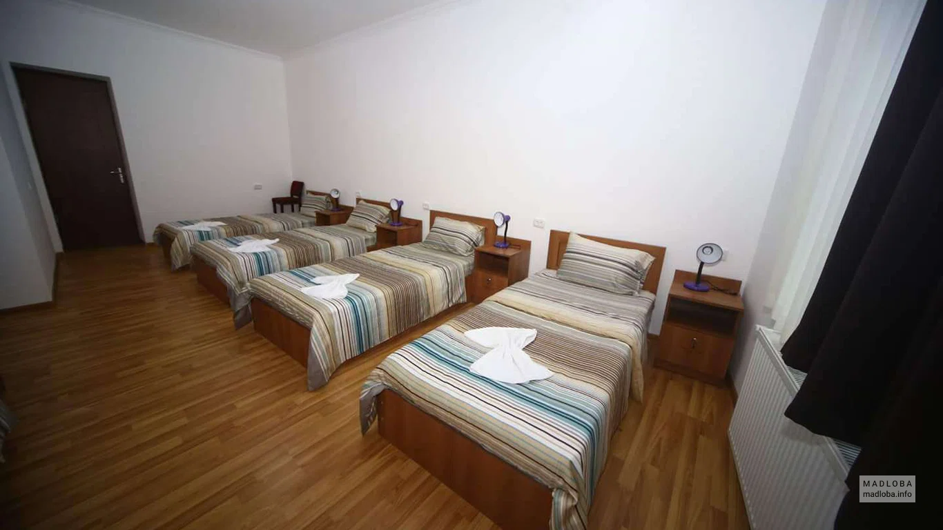 Общая комната для сна в хостеле Lion