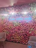Lovita Cafe