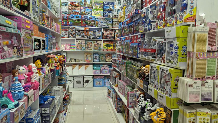 SanyToys (DS Mall)