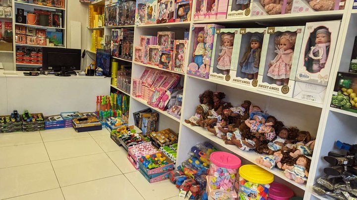 SanyToys (DS Mall)