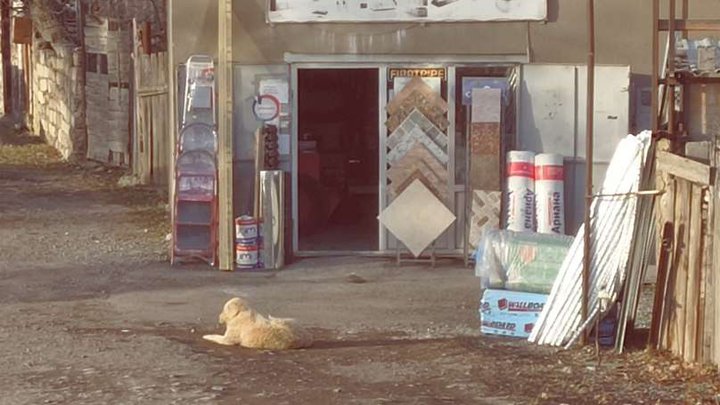 Construction materials store (88 Saakadze St.)