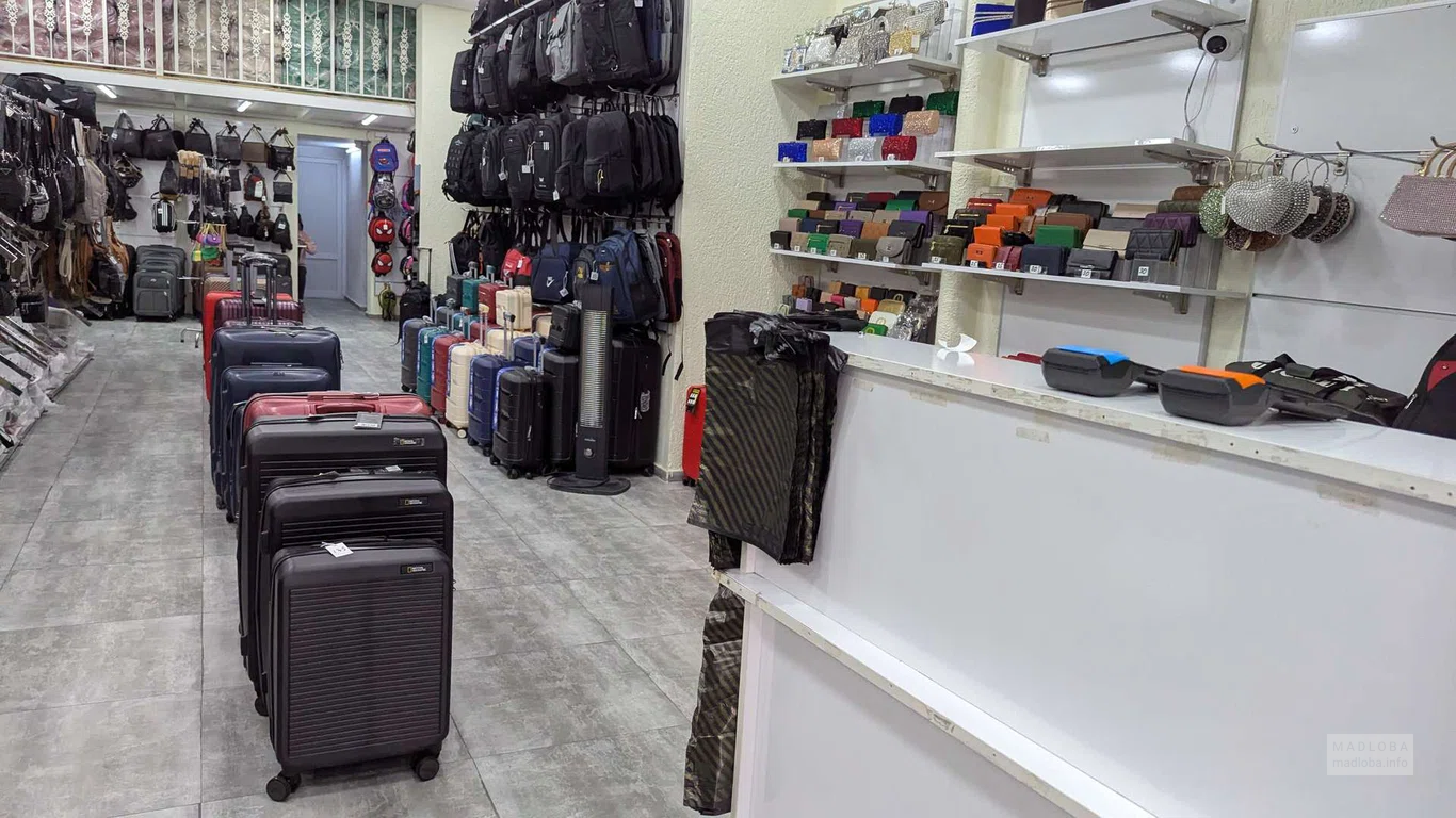 Чемоданы, рюкзаки, кошельки в магазине