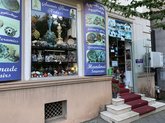 Souvenirs House