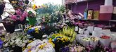 Maia's Flowers