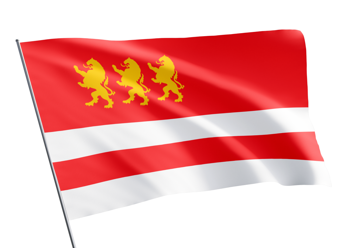 Marneuli municipality flag