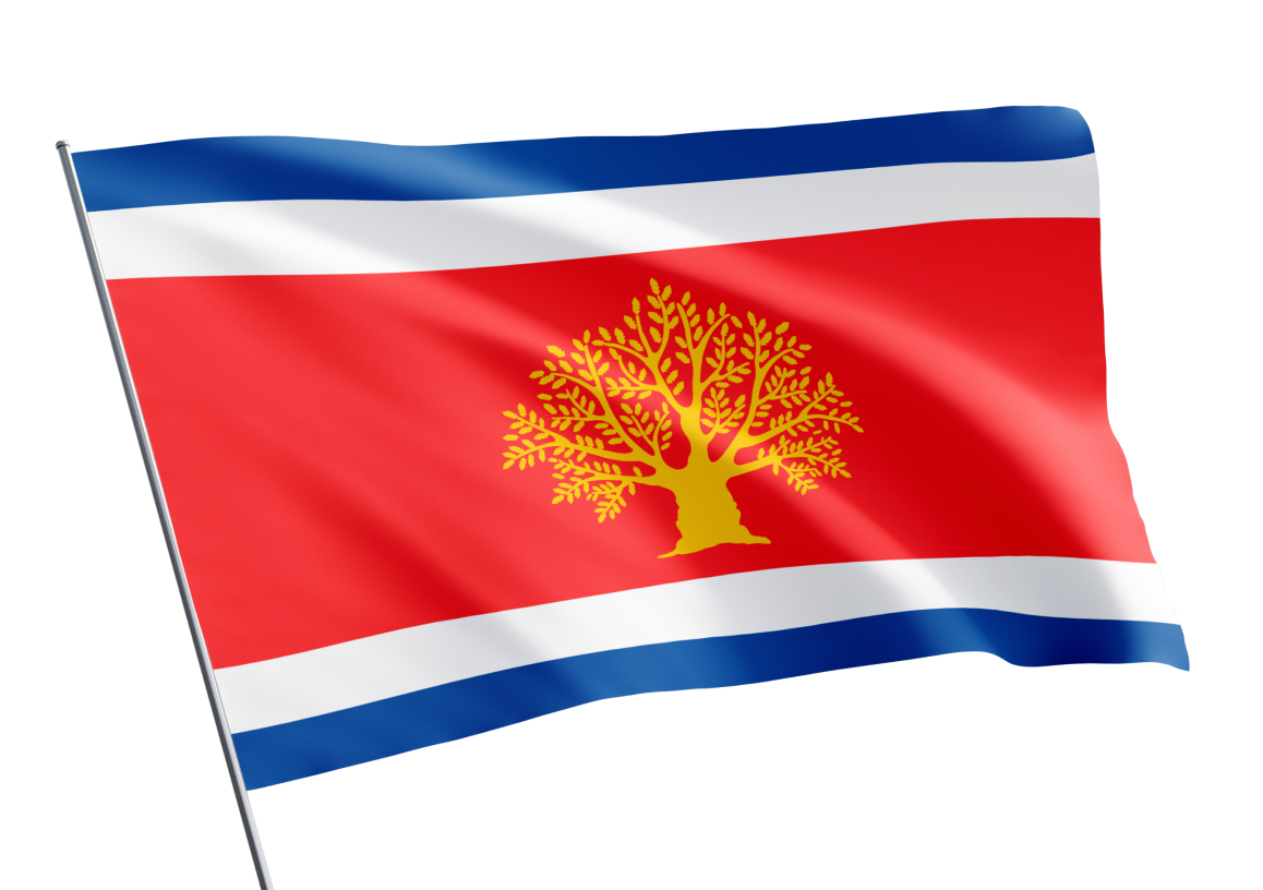 Martvili municipality flag