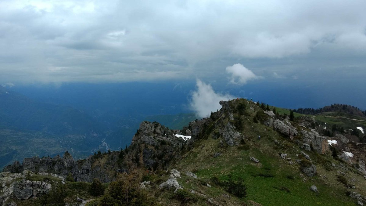 Массив Хвамли_007.jpg