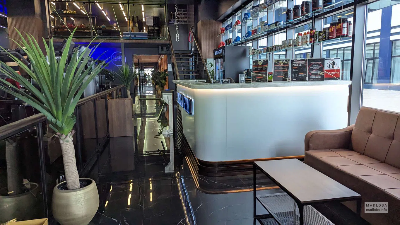 Mega Gym Fitness в Батуми — спортзал с видом, зона кардио, тренировки