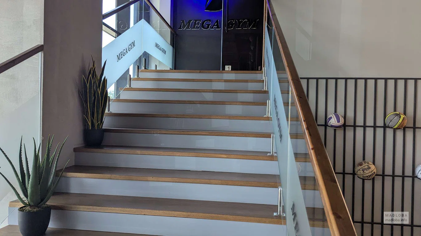Лестница в Mega Gym Fitness