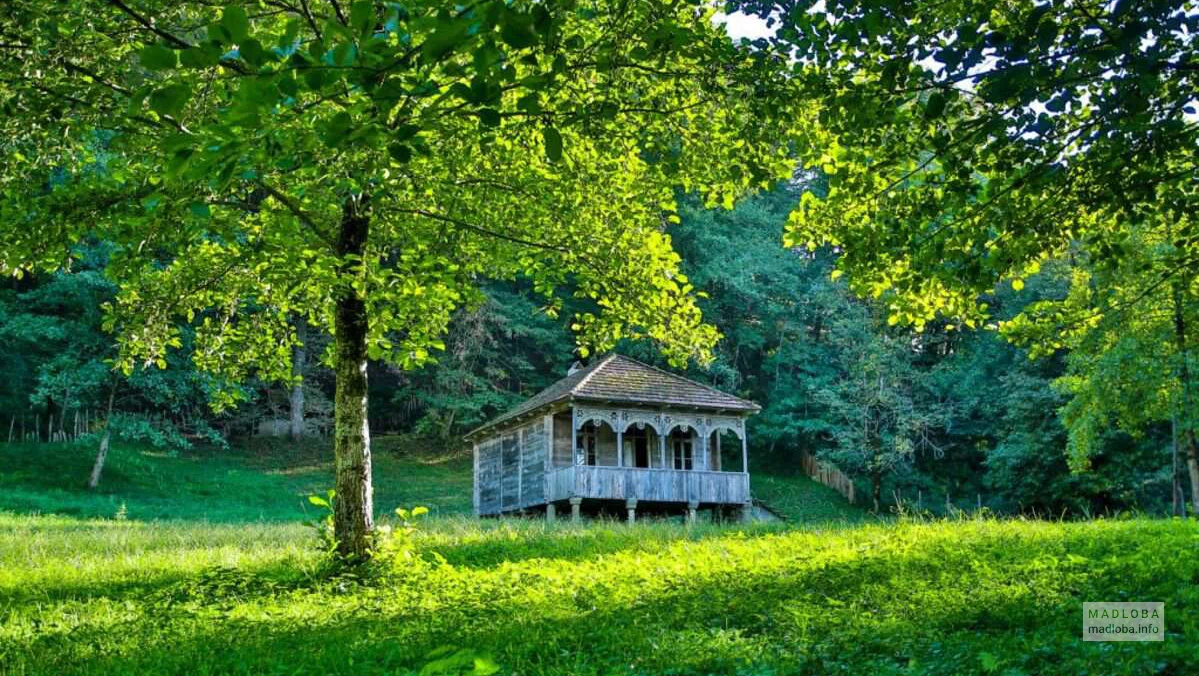 Мемориальный музей Корнели Кекелидзе