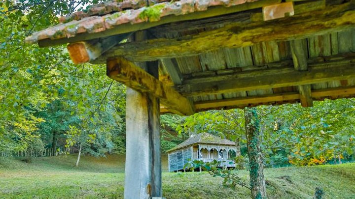 Мемориальный музей Корнели Кекелидзе