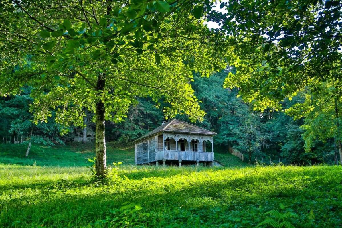 Memorialnyy_muzey_Korneli_Kekelidze_v_sele_Toba