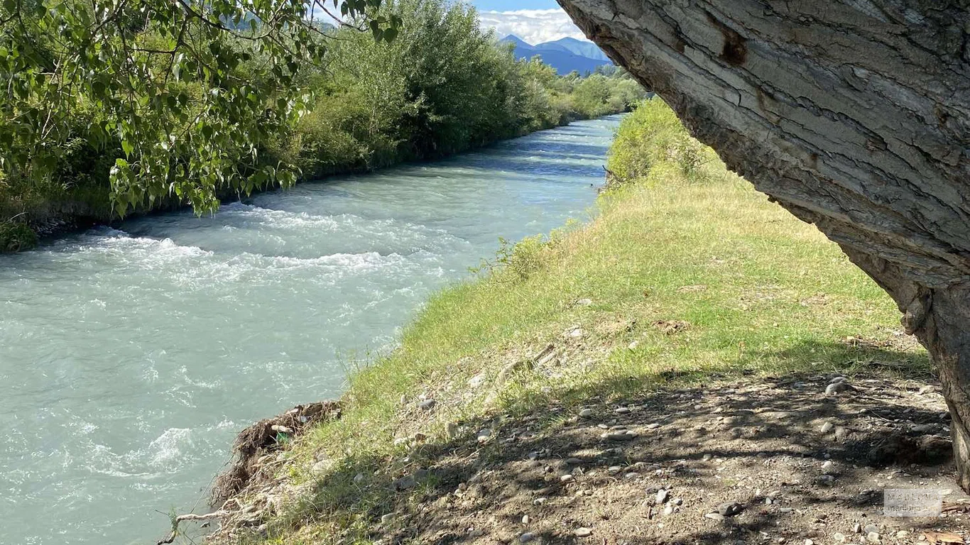 Picnic area under a tree by the river