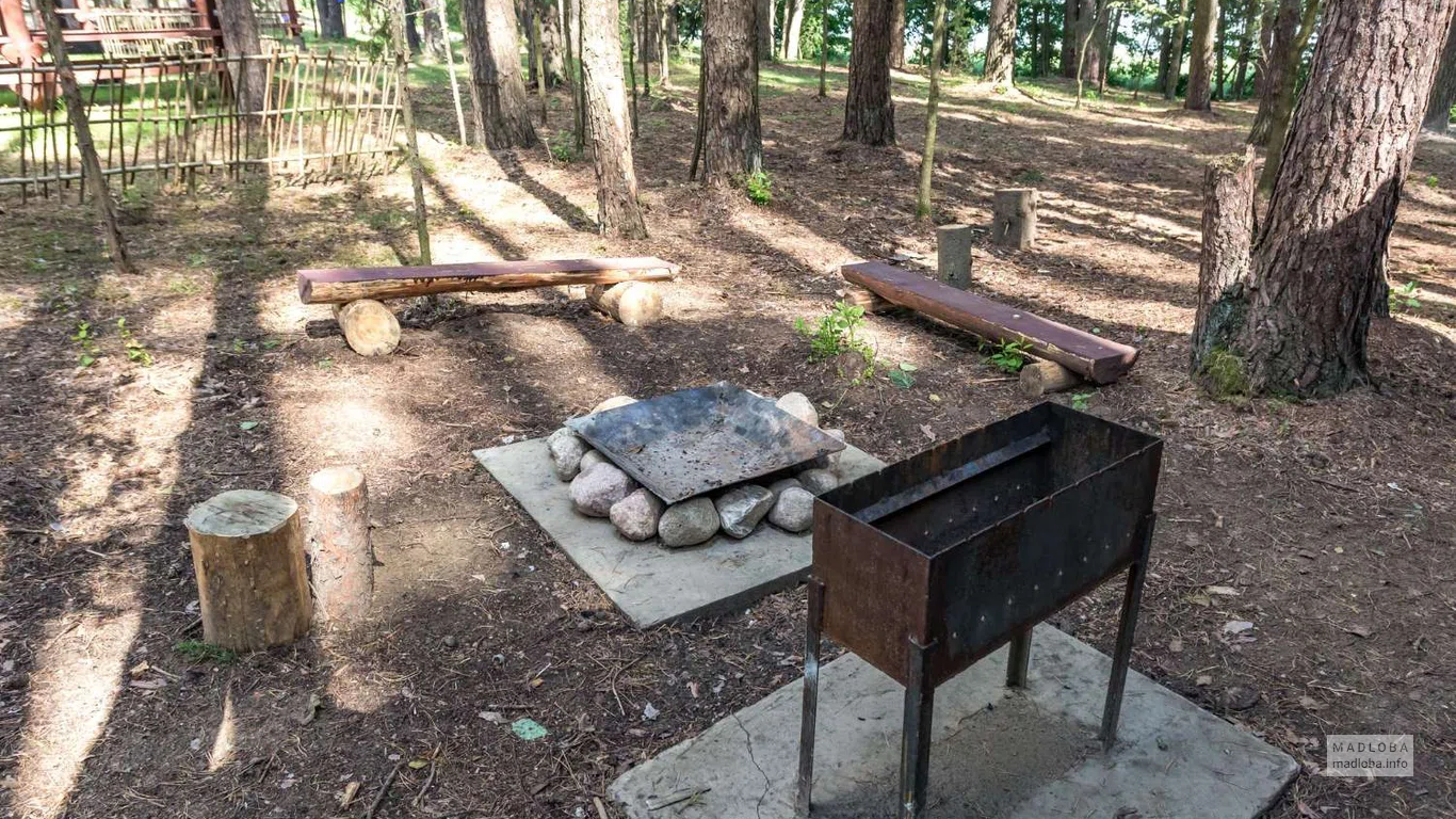 Место для пикника с шашлыками