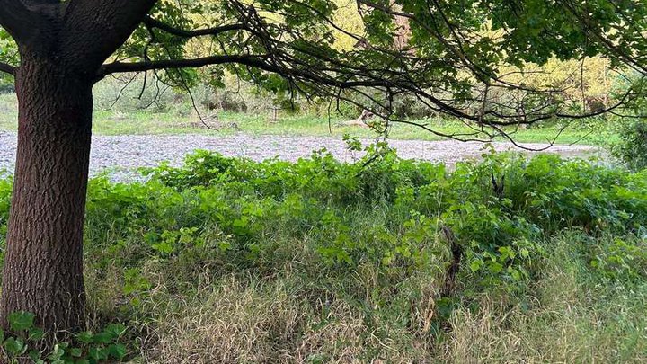 Fishing spot on the Mashavera River