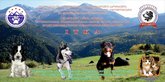 International Transcaucasian Cynological Association