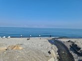 Mini beach at the mouth of the Medzhinistskali river