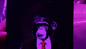 მაიმუნის ბარი