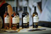 Mosmieri Kakheti Wine Center