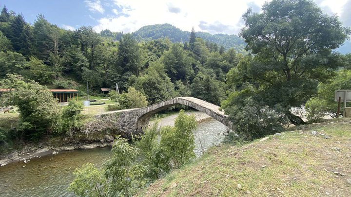 Dandalo Bridge