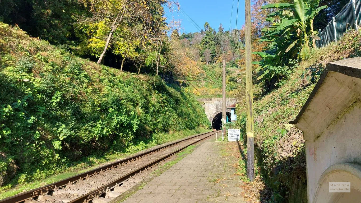 Вид на туннель от Железнодорожной станции "Зелёный Мыс"