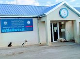 Municipal animal shelter