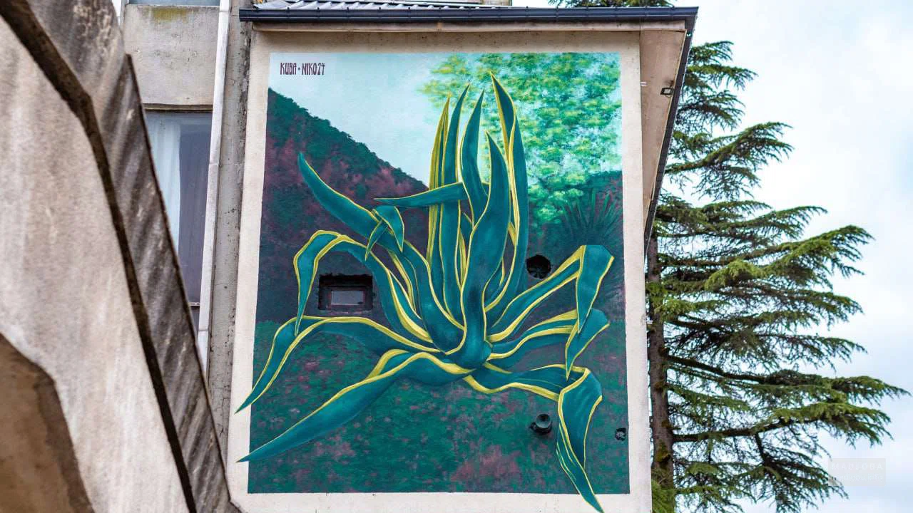 Настенное граффити с агавой в Озургети — авторская работа художника Кубы Ульба