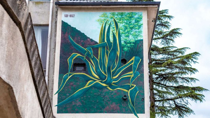 Мурал «Агава»