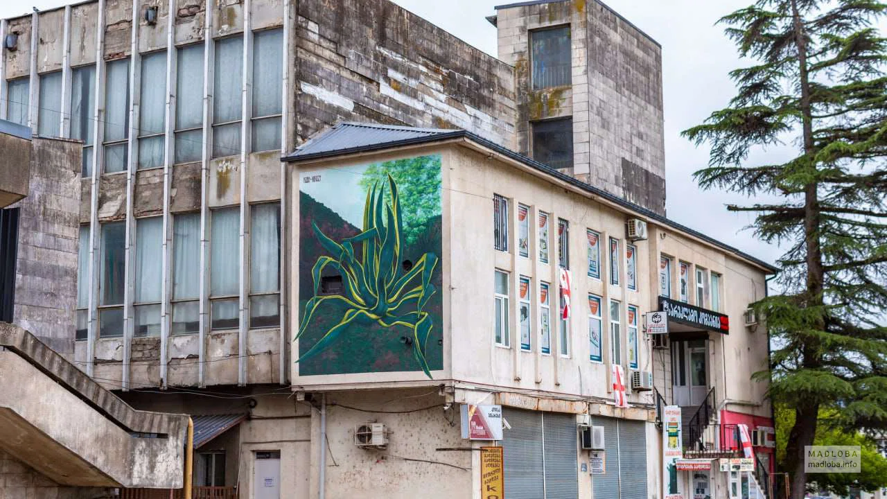 Яркий мурал с агавой в Озургети — искусство, уличная галерея