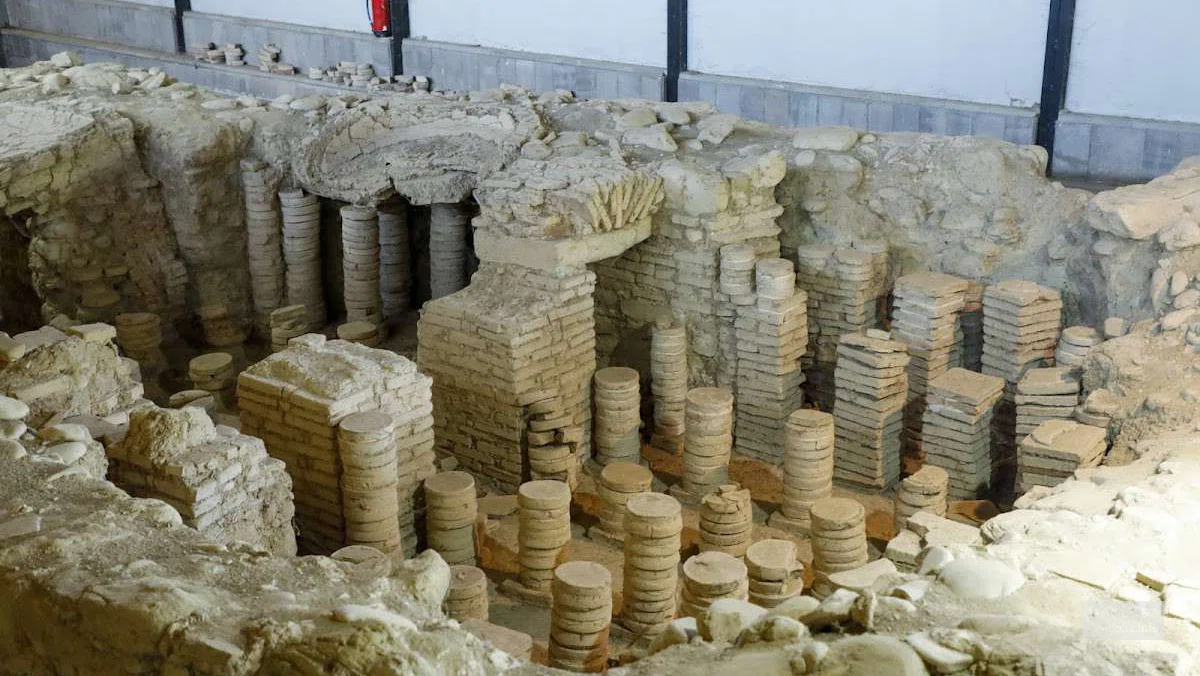 Музей-заповедник Дзалиси