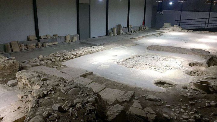 Археологический музей-заповедник Дзалиса