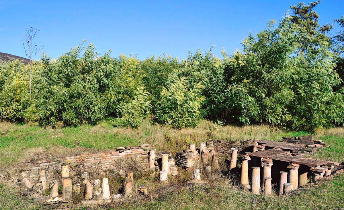 Музей-заповедник Дзалиса - 07.jpg