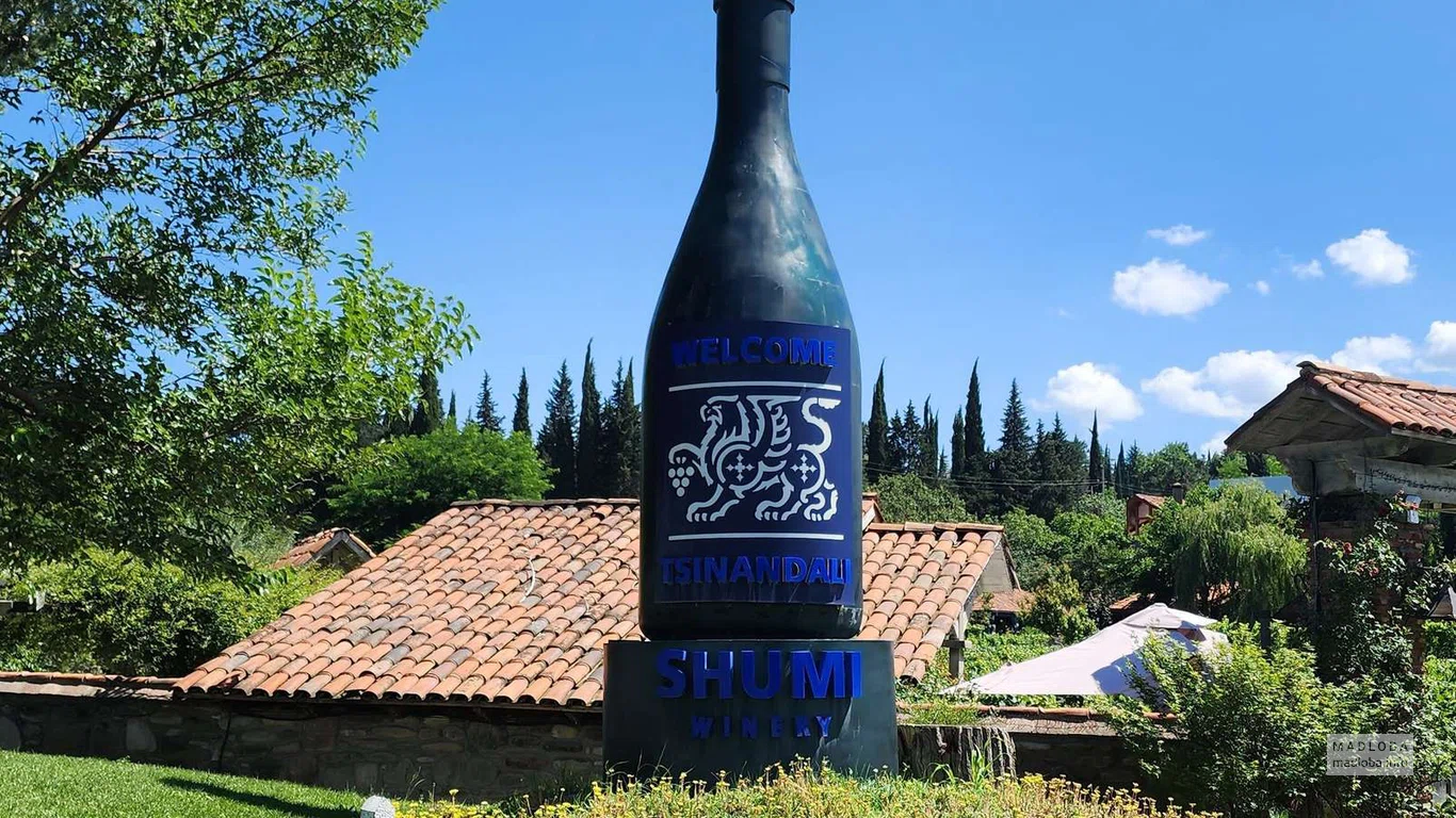 Музей грузинского вина Шуми