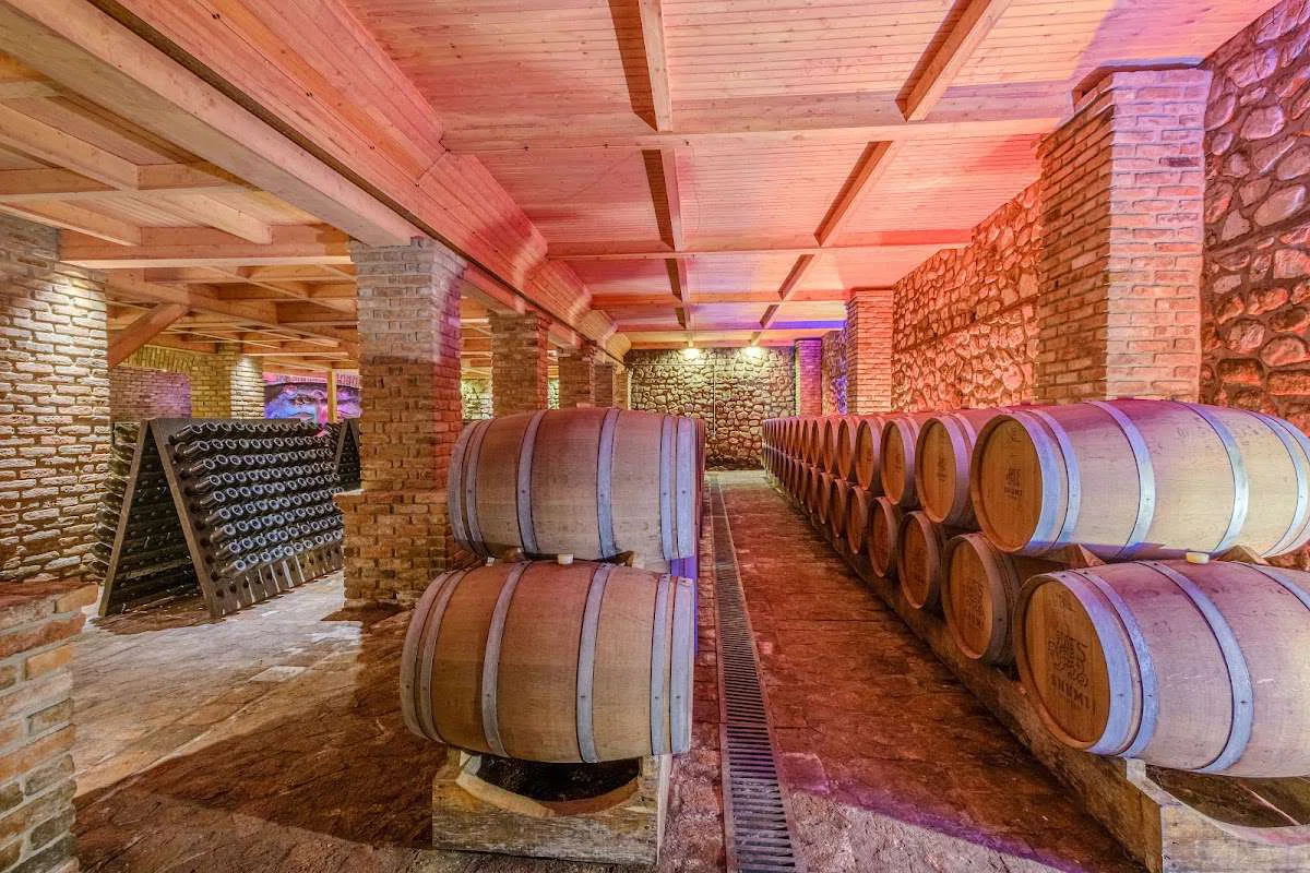 Музей грузинского вина Шуми в Цинандали - 08.jpg