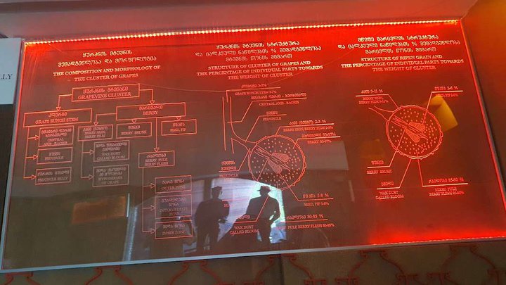 Museum of Qvevri and Qvevri Wine