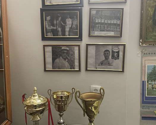 Музей спорта в Ланчхути - 10.jpg