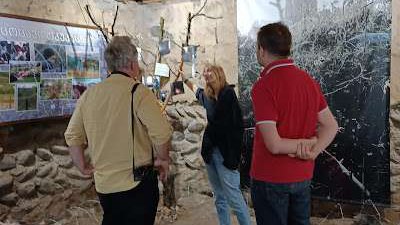 Музей войны Эргнети