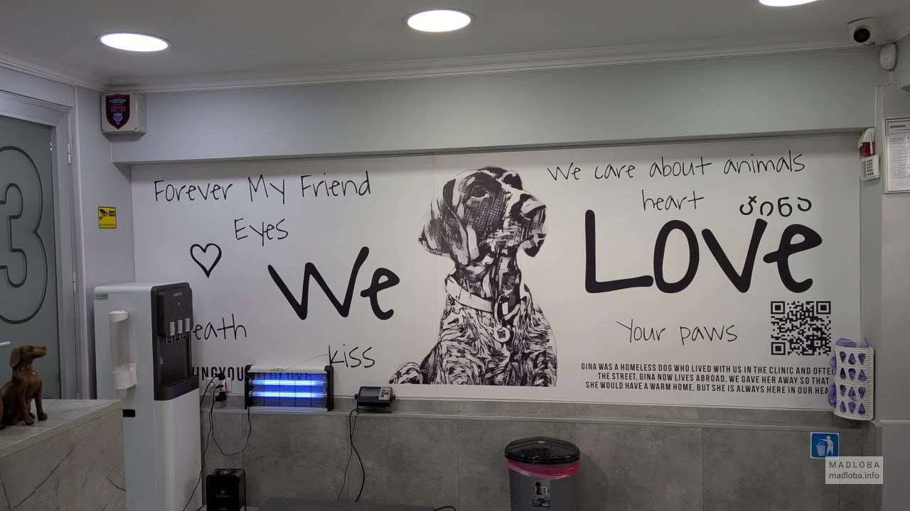 Ветеринарная клиника My friend в Батуми