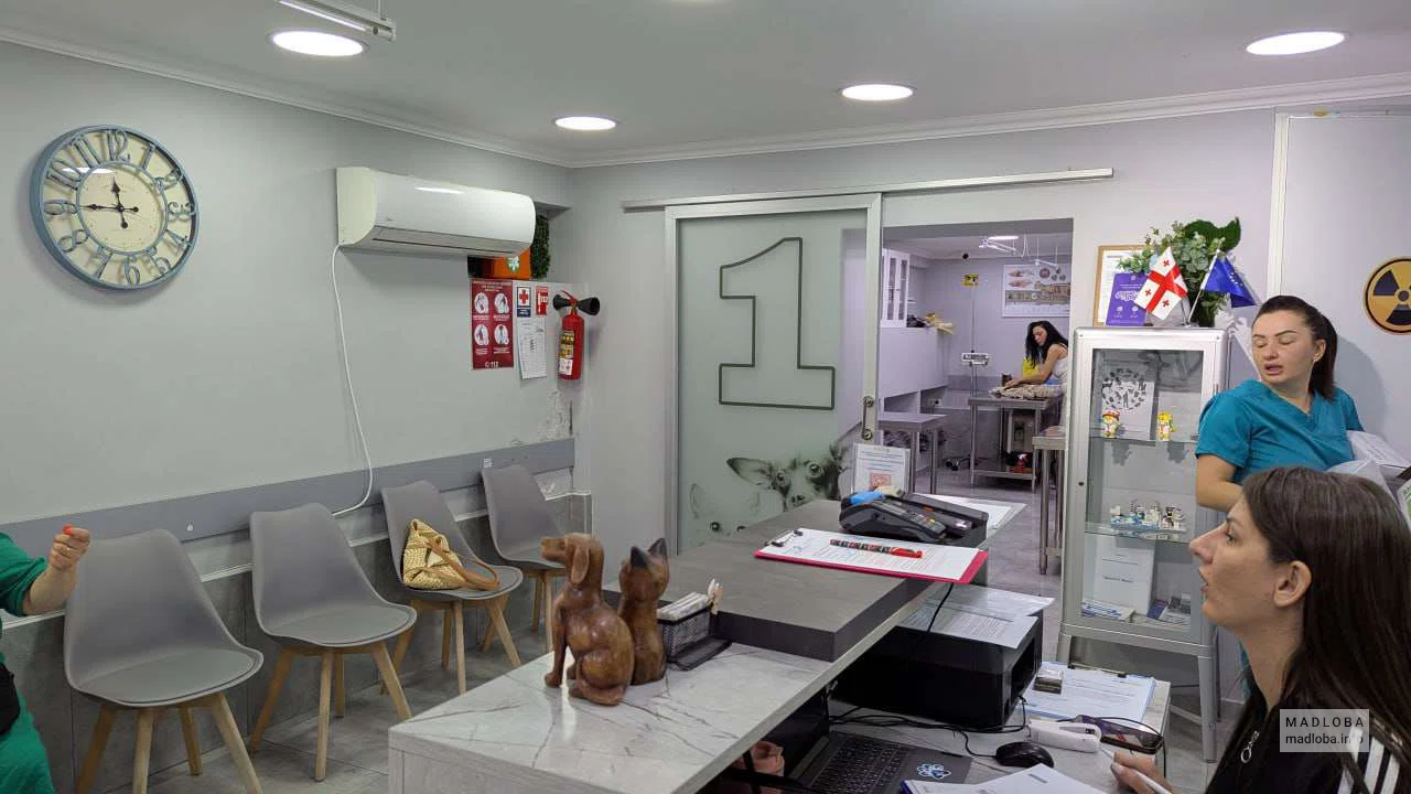 Ветеринарная клиника My friend